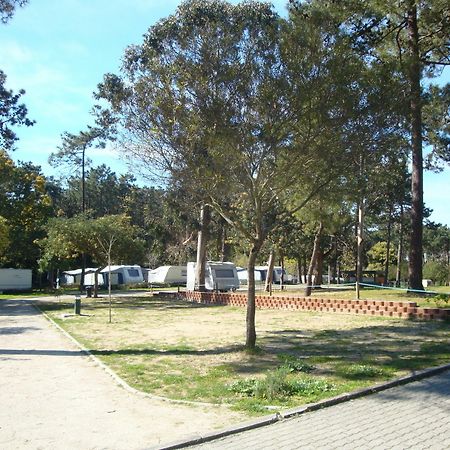 Orbitur Caminha Bungalows - Caravan Park Zewnętrze zdjęcie