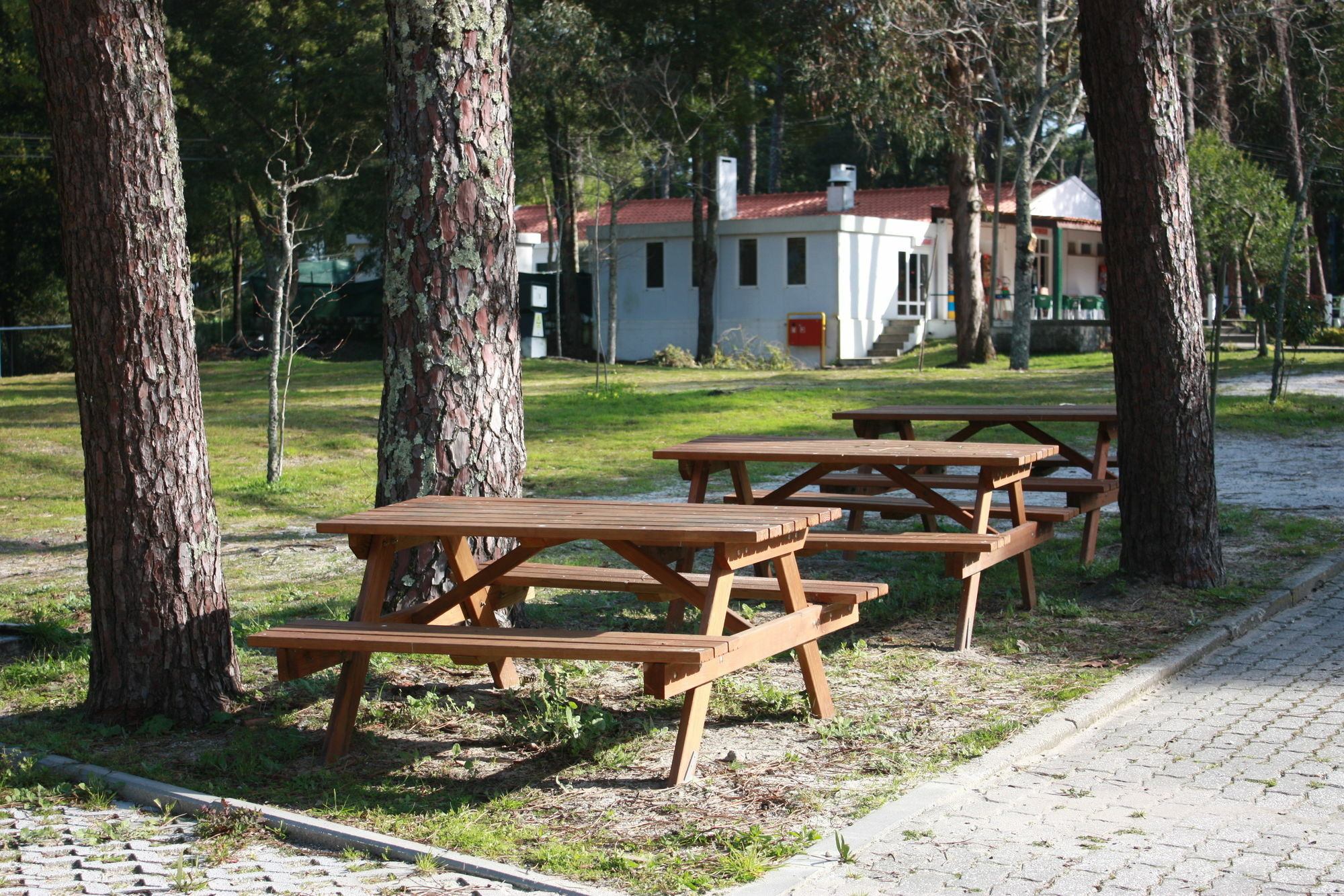 Orbitur Caminha Bungalows - Caravan Park Zewnętrze zdjęcie