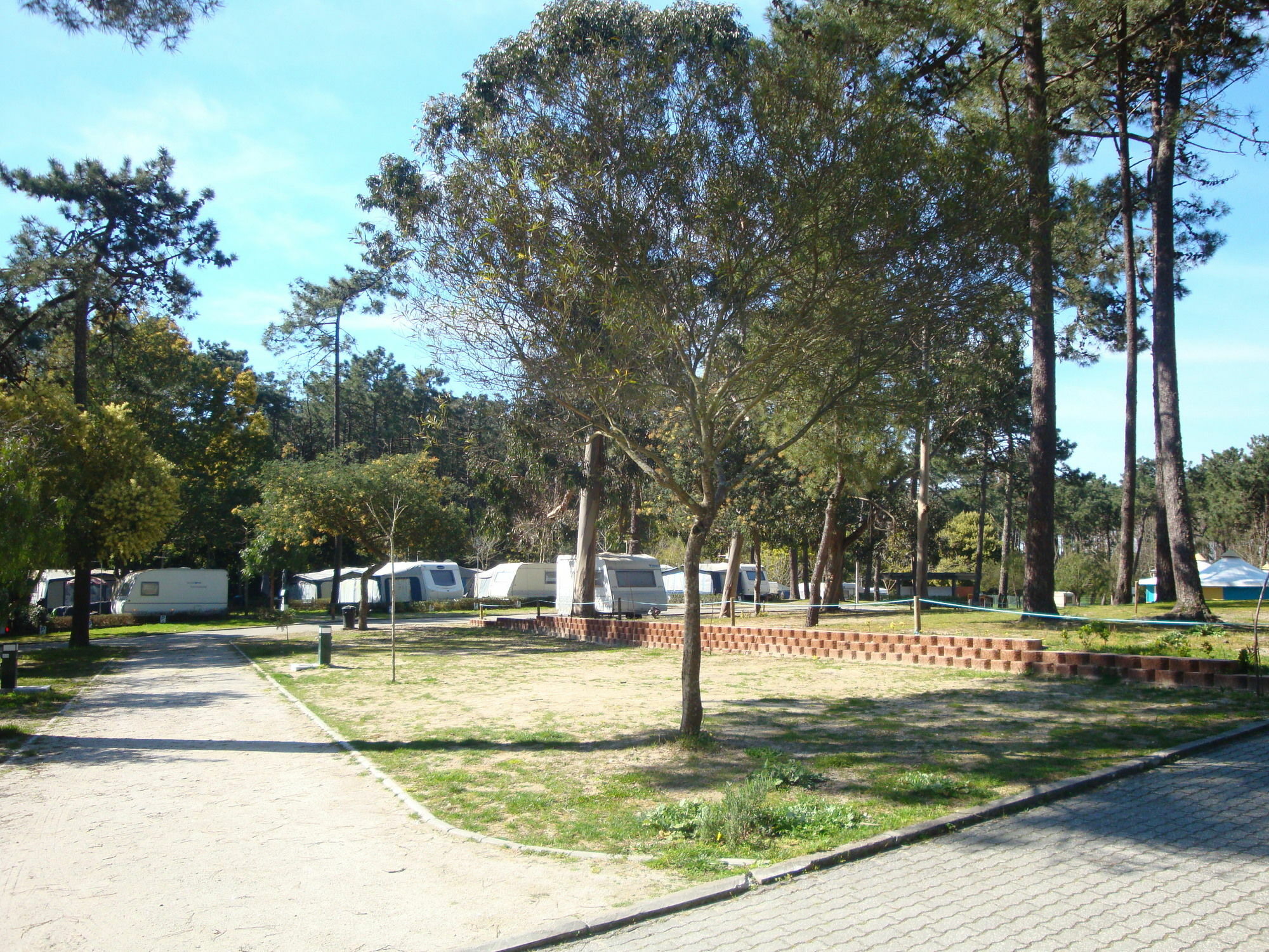 Orbitur Caminha Bungalows - Caravan Park Zewnętrze zdjęcie