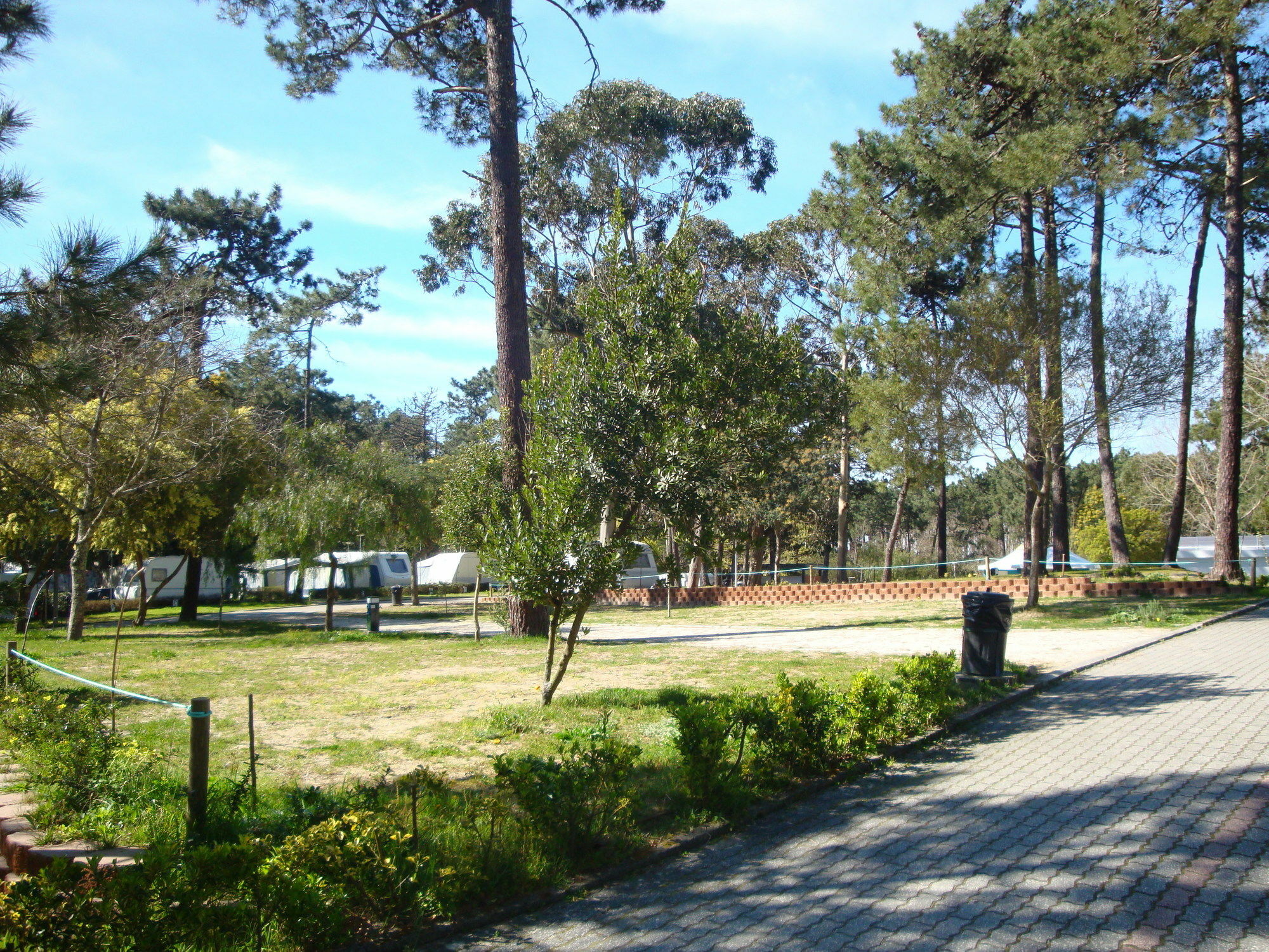 Orbitur Caminha Bungalows - Caravan Park Zewnętrze zdjęcie